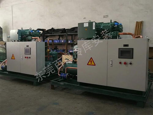 珠海鱸魚加工廠冷庫安裝 構(gòu)建高品質(zhì)、高安全性的食品儲(chǔ)存解決方案