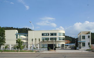 匠心獨(dú)運(yùn)，木藝生輝 探訪高要市白土鎮(zhèn)潤和工藝品加工廠與鼎龍木業(yè)