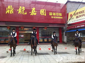 歡樂五一，來鼎龍嘉園免費騎馬玩?。埬緲I邀您共度佳節
